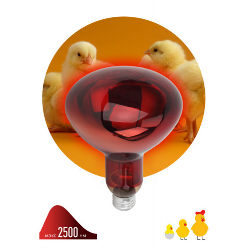 Инфракрасная лампа 150Вт ИКЗК 230-150 R127 Е27 для обогрева животных | Б0055441 | ЭРА