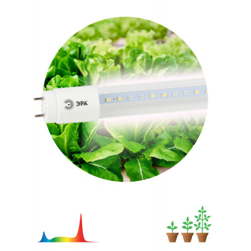 Лампа светодиодная Т8 фито для растений 18Вт G13 белый спектр ЭРА FITO-18W-Ra90-Т8-G13-NL | Б0042987 | ЭРА