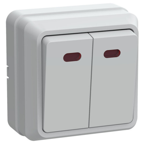 ОКТАВА белый Выключатель 2-клавишный с индикацией 10А ВС20-2-1-ОБ| EVO21-K01-10-DC | IEK