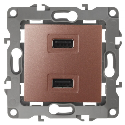 Устройство зарядное USB 12-4110-14 , 5В-2100мА, медь (6/60/1920) |Б0027499 | ЭРА