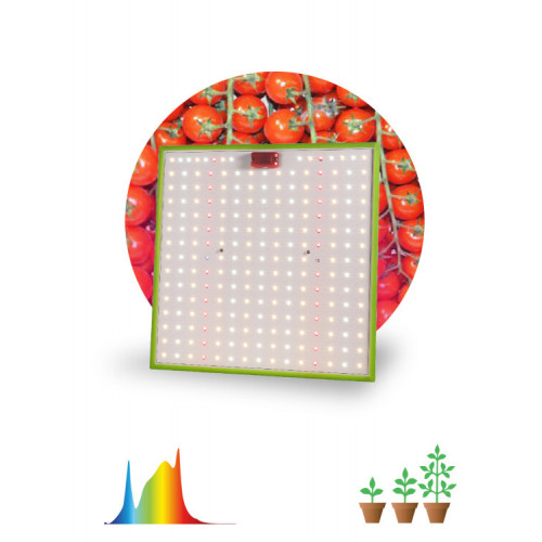 Фитопрожектор для растений светодиодный 80Вт FITO-80W-LED-QB Quantum board | Б0053285 | ЭРА