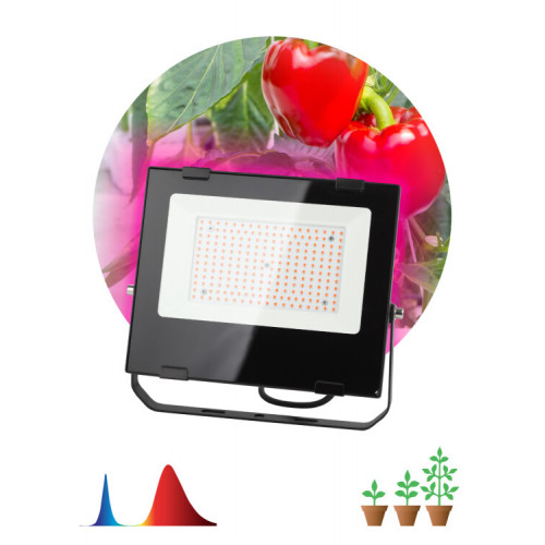 Прожектор светодиодный фито для растений красно-синий спектр FITO-100W-RB-LED | Б0046369 | ЭРА