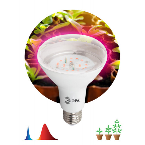 Лампа светодиодная фито для растений 16Вт E27 красно-синий спектр FITO-16W-RB-E27-K | Б0039072 | ЭРА