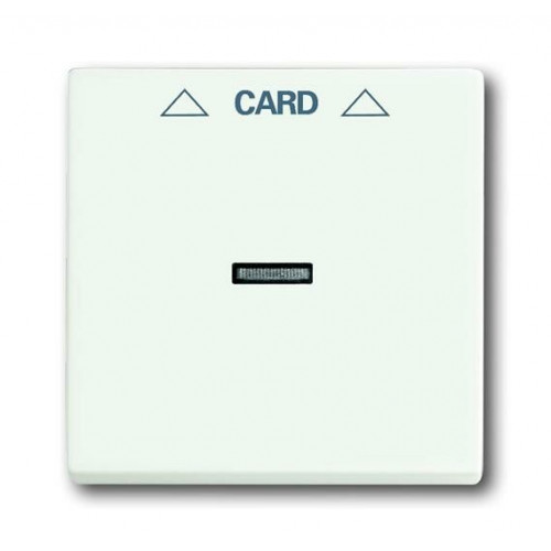 Плата центральная (накладка) для механизма карточного выключателя 2025 U, серия solo/future, цвет белый бархат | 1710-0-3928 | 2CKA001710A3928 | ABB