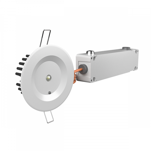 Светильник аварийного освещения BS-ARUNA-81-L3-INEXI3 IP65 | a22211 | Белый свет