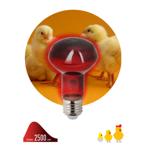 Инфракрасная лампа ИКЗК 230-60 R63 Е27 для обогрева животных 60 Вт Е27 | Б0057281 | ЭРА