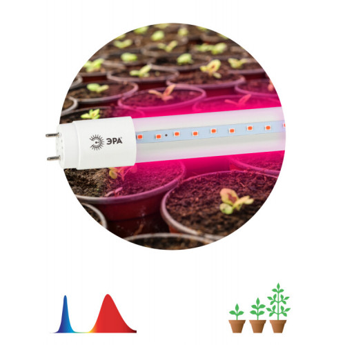 Лампа светодиодная Т8 фито для растений 18Вт G13 красно-синий спектр ЭРА FITO-18W-RB-Т8-G13-NL | Б0042990 | ЭРА