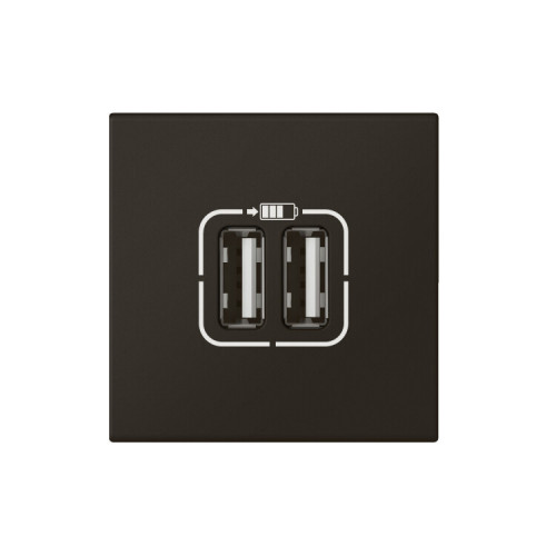 Розетка USB А+А для зарядки двойная - Mosaic - 2 модуля - матовая черная | 079194L | Legrand