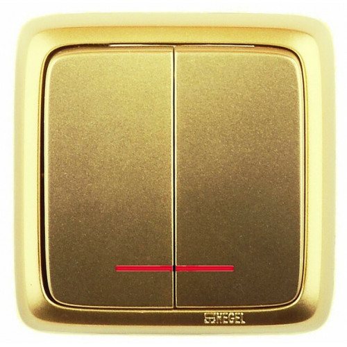 Выключатель открытой установки, двухклавишный, с индикацией, цвет золото | ВА16-152-07 | HEGEL