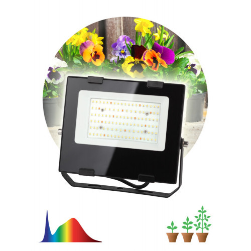Прожектор светодиодный фито для растений FITO-50W-Ra90-LED для цветения и плодоношения (10/300) | Б0047875 | ЭРА