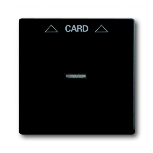 Плата центральная (накладка) для механизма карточного выключателя 2025 U, серия solo/future, цвет черный бархат | 1710-0-3905 | 2CKA001710A3905 | ABB