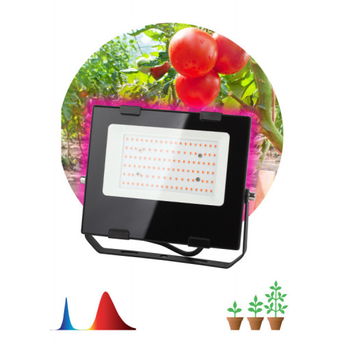 Прожектор светодиодный фито для растений красно-синий спектр FITO-50W-RB-LED | Б0046368 | ЭРА