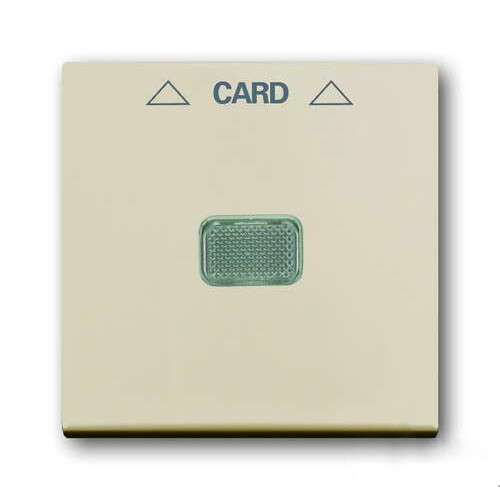 ABB Basic 55 Сл. кость Накладка карточного выключателя(мех. 2025U) | 1710-0-3865 | 2CKA001710A3865 | ABB