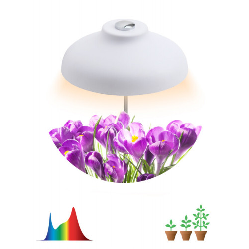 Светильник светодиодный настольный фито для растений/для грунта белый спектр FITO-12W-FLED | Б0039068 | ЭРА