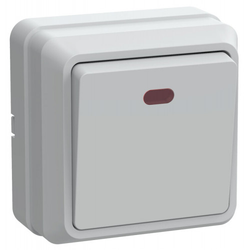ОКТАВА белый Выключатель 1-клавишный с индикацией О/У 10А ВС20-1-1-ОБ| EVO11-K01-10-DC | IEK
