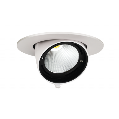 Светильник светодиодный встраиваемый downlight ДВО PLED DL4 30W 4000K 24° поворот White IP40 | .5021907 | Jazzway