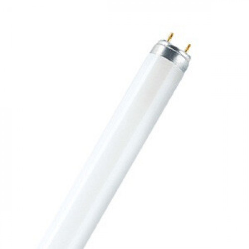 Лампа линейная люминесцентная L 36W/77 10X1 CRP RU | 4058075402805 | OSRAM