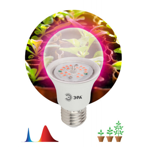 Лампа светодиодная фито для растений 12Вт E27 красно-синий спектр FITO-12W-RB-E27-K | Б0039070 | ЭРА
