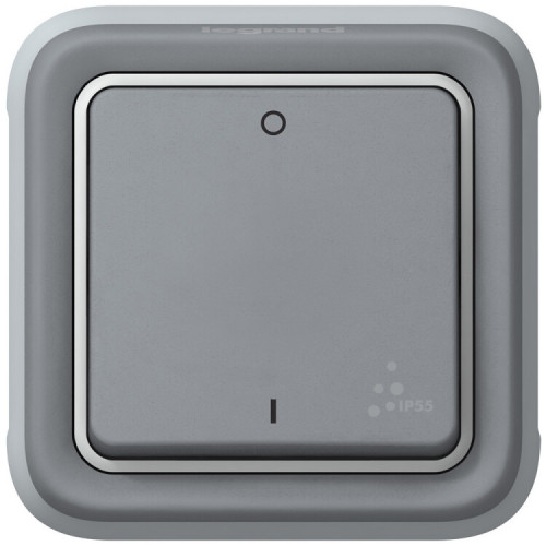 Plexo Серый Выключатель 1-клавишный 2-х полюсный IP55 | 069530 | Legrand