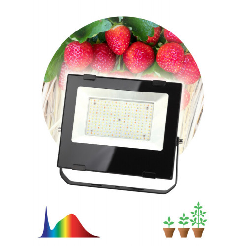 Прожектор светодиодный фито для растений FITO-100W-Ra90-LED для цветения и плодоношения (10/200) | Б0047876 | ЭРА