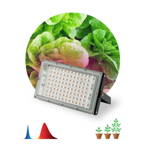 Фитопрожектор для растений светодиодный 80Вт FITO-80W-RB-LED-Y красно-синего спектра | Б0053082 | ЭРА