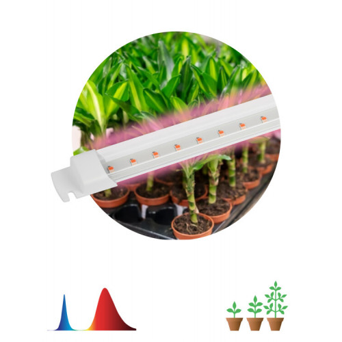 Светильник для растений, фитолампа светодиодная линейная FITO-10W-Т5-RB-Slim красно-синего спектра 10 Вт Т5 | Б0057401 | ЭРА