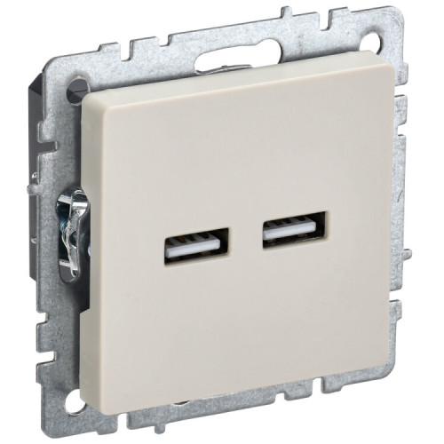 BRITE Розетка USB A+A 3,1А РЮ10-1-БрКр бежевый | BR-U21-D31-K10 | IEK