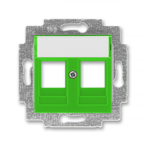 ABB Levit Зелёный Накладка с суппортом для информационных разъёмов | 5014H-A01018 67 | 2CHH291018A4067 | ABB