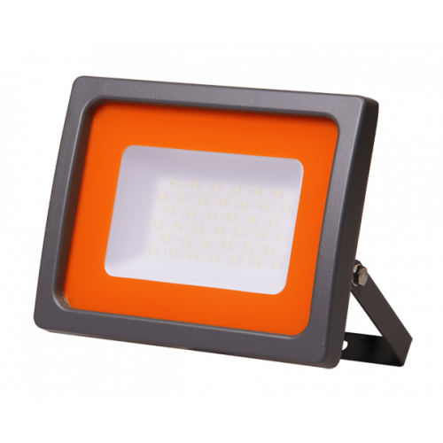 Прожектор светодиодный СДО PFL-SC 30Вт 6500К IP65 матовое стекло | 5001404 | Jazzway