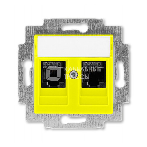 ABB Levit Жёлтый Розетка комп. 2-ая 2хRJ45 категория 6 | 5014H-A61018 64W | 2CHH296118A6064 | ABB
