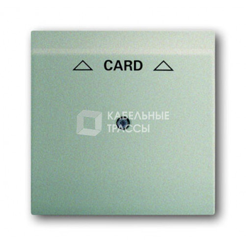Плата центральная (накладка) для механизма карточного выключателя 2025 U, серия impuls, цвет шампань-металлик | 1753-0-6737 | 2CKA001753A6737 | ABB