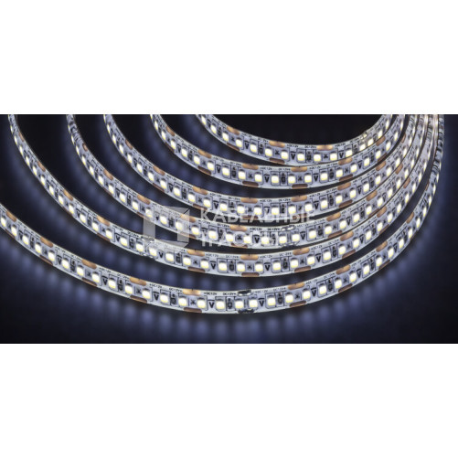 Лента светодиодная NLS-2835CW168-16-IP65-12V | 14456 | Navigator