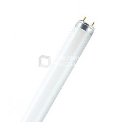 Лампа линейная люминесцентная L 58W/840 25X1 | 4058075692916 | Osram