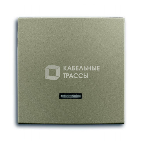 ABB Basic 55 Шампань Клавиша для светорег 6550 U-10x, 6560 U-101, 6593 U, реле 6401 U-10x, 6402 U | 6599-0-2993 | 2CKA006599A2993 | ABB