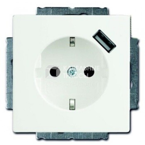 ABB Basic 55 Альп. белый Розетка Schuko 20 EUCBUSB-94-500, 16А, 700мА с устр.заряд.USB | 2011-0-6193 | 2CKA002011A6193 | ABB