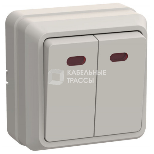 ОКТАВА кремовый Выключатель 2-клавишный с индикацией 10А ВС20-2-1-ОКм | EVO21-K33-10-DC | IEK