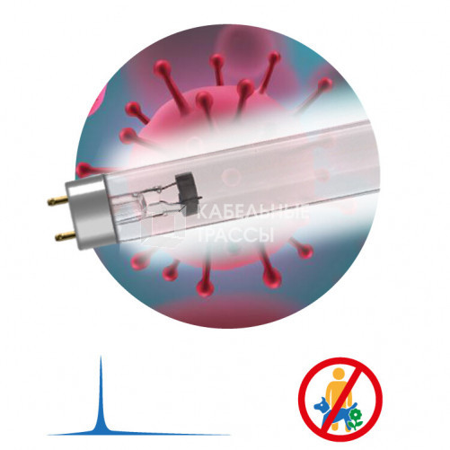 Лампа люминесцентная ультрафиолетовая UV-С ДБ 30Вт Т8 G13 T8/30W дл волны 253,7 нм без озона | Б0048973 | ЭРА