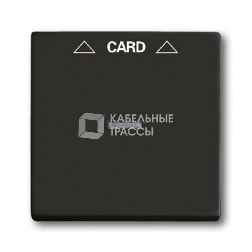 ABB Basic 55 Шато (чёрный) Накладка карточного выключателя(мех. 2025U) | 1710-0-3933 | 2CKA001710A3933 | ABB