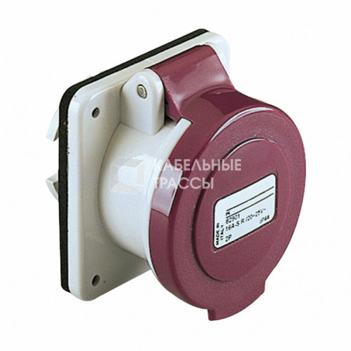 РОЗ ПАНЕЛ ПРМ БСТР STRT 16A 3P25V IP44 | 82902 | Schneider Electric