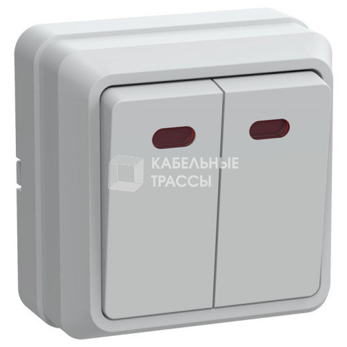 ОКТАВА белый Выключатель 2-клавишный с индикацией 10А ВС20-2-1-ОБ| EVO21-K01-10-DC | IEK