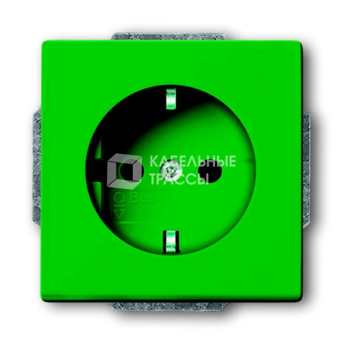 Розетка SCHUKO 16А 250В, со шторками, серия solo/future, цвет зелёный | 2013-0-5323 | 2CKA002013A5323 | ABB