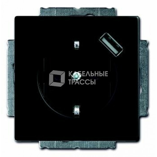 Розетка Schuko с устройством зарядным USB, 20 EUCBUSB-885-500, Future чёрный бархат, 16А, 700 мА, | 2011-0-6183 | 2CKA002011A6183 | ABB
