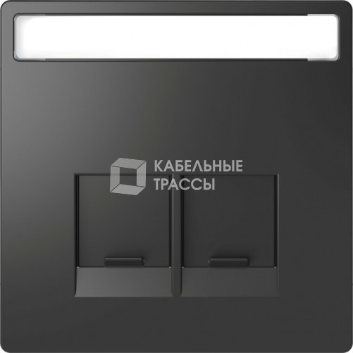 D-Life ЦЕНТРАЛЬНАЯ НАКЛАДКА д/2-х модульных разъемов SE, АНТРАЦИТ , SD | MTN4574-6034 | Schneider Electric