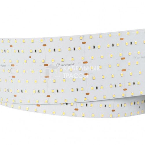 Лента светодиодная S2-2500 24V White 5500K 85mm (2835, 560 LED/m, LUX) | 021209 | Arlight