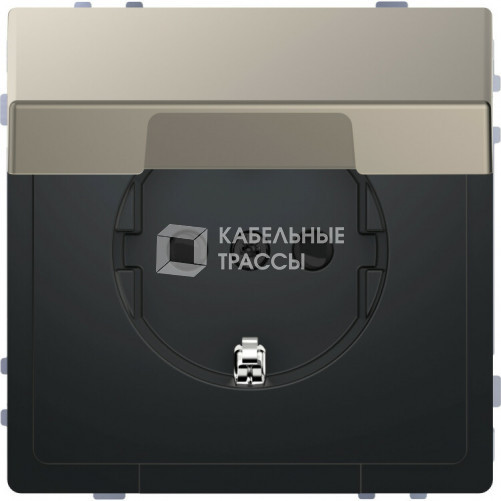 D-Life РОЗЕТКА 16А с з/к и крышкой IP20, НИКЕЛЬ , SD | MTN2310-6050 | Schneider Electric