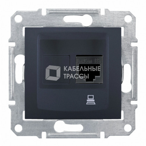 Sedna Графит Розетка компьютерная 1-ая RJ45 кат. 6 STP | SDN4900170 | Schneider Electric