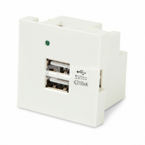 M45-USBCH2-WH Модуль розетки USB для зарядки, 2 порта, 2М, 4.2А, 5В, 45x45мм, белый | 250097 | Hyperline