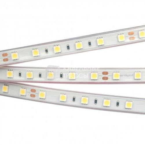 Лента светодиодная RTW 2-5000P 24V White6000 2x (5060, 300 LED, LUX) | 010357 | Arlight