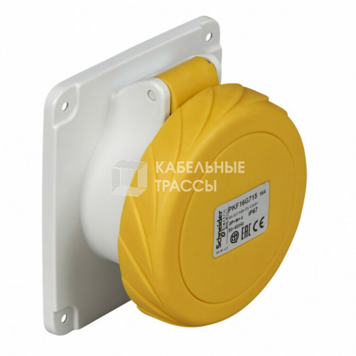 ПАНЕЛ РОЗ ВИНТ 16А 3P-E 100-130 IP67 | PKF16G714 | Schneider Electric