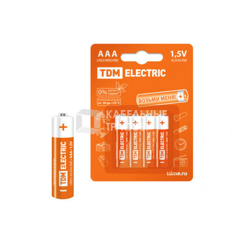 Элементы питания LR03 AAA Alkaline 1,5V BP-4 | SQ1702-0006 | TDM